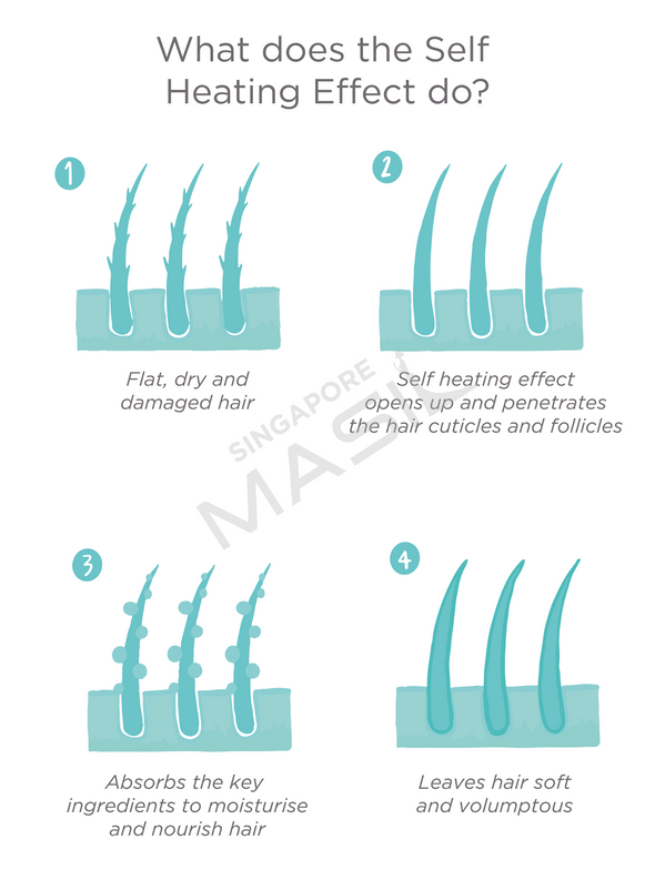 [MASIL] Condicionador Tratamento Capilar para Cabelos Finos 8 Seconds Liquid Hair Mask 350ml 🇰🇷