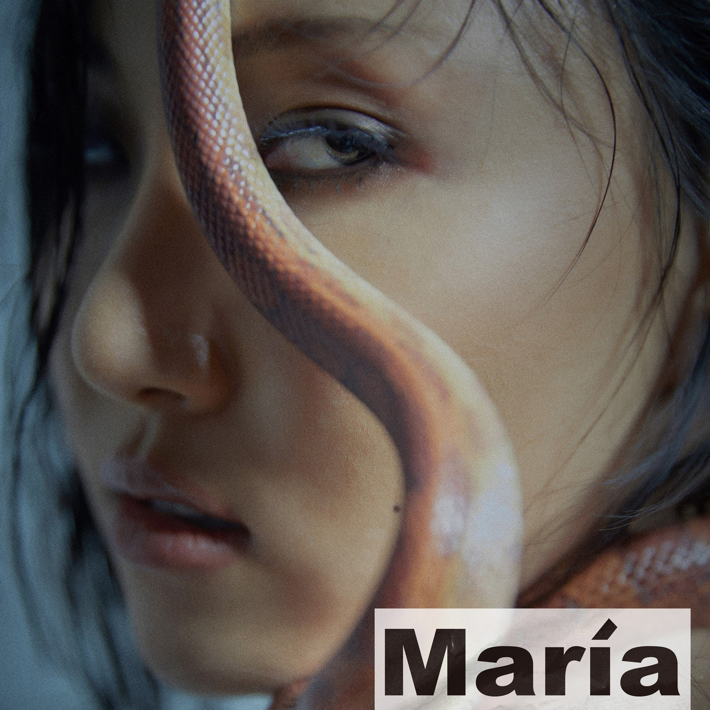 HWASA 1st Mini Album [María] 🇰🇷