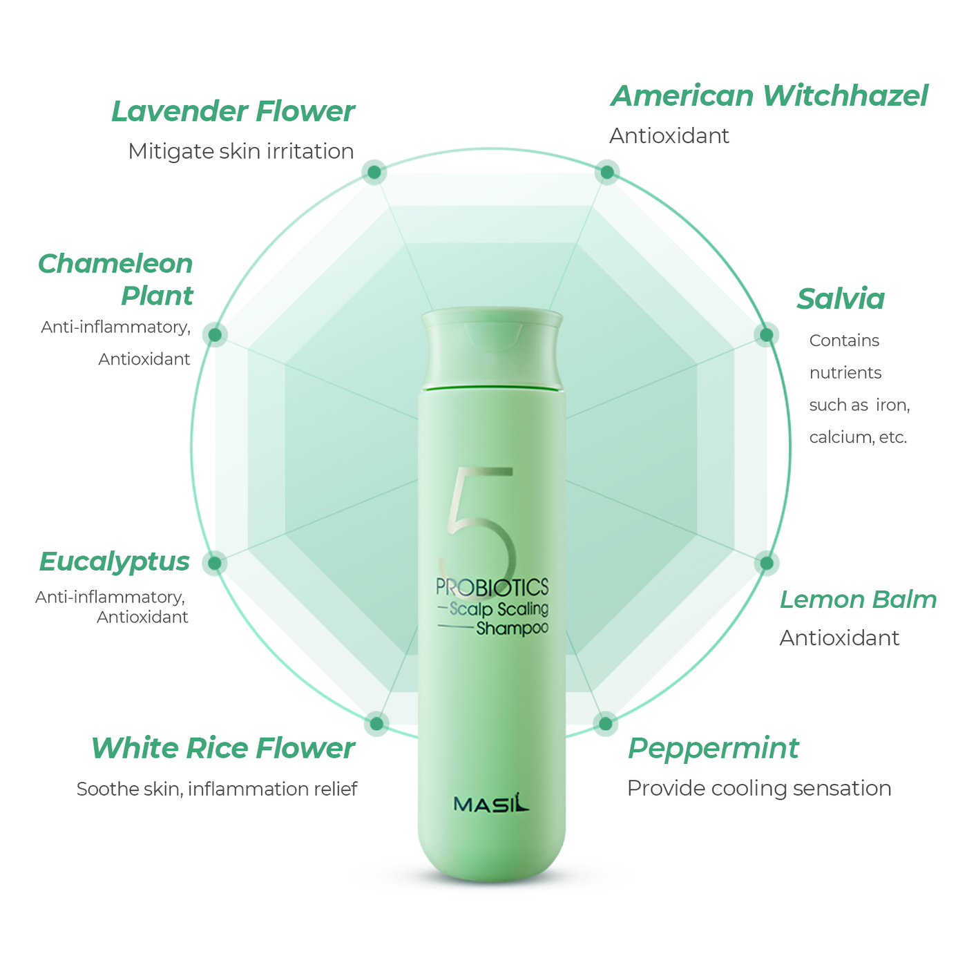 [MASIL] Shampoo Protetor Couro Cabeludo 5 Probiotics Scalp Scaling Shampoo 300ml 🇰🇷
