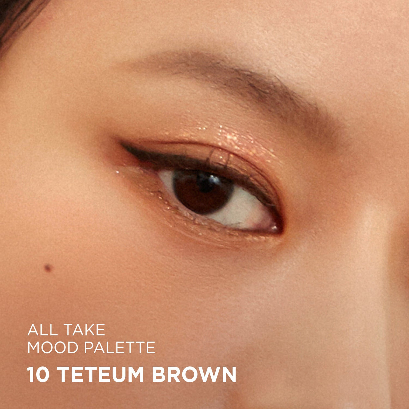 [Peripera] Paleta de Sombras All Take Mood Palette #10 Teteum Brown (Teteum ver.) 🇰🇷