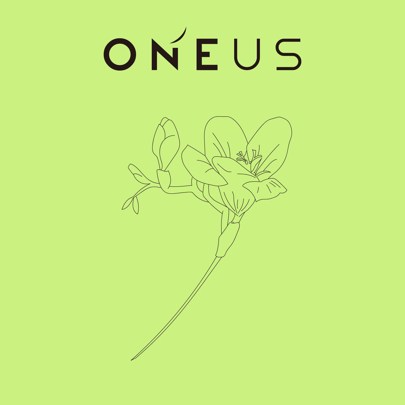 ONEUS 1st Single Album -[IN ITS TIME] 🇰🇷